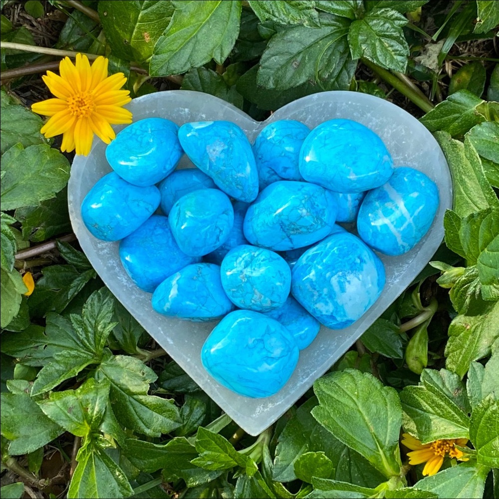 (2) Tumbled Turquenite Stones